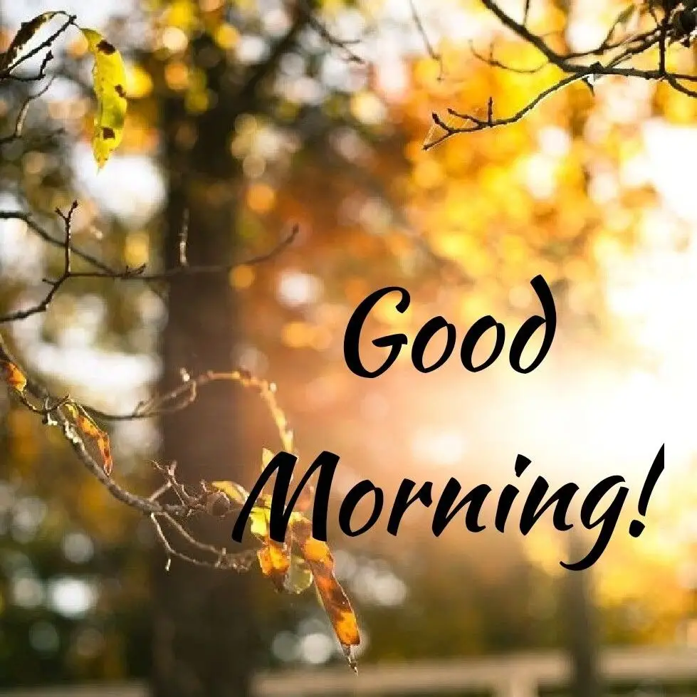 good morning